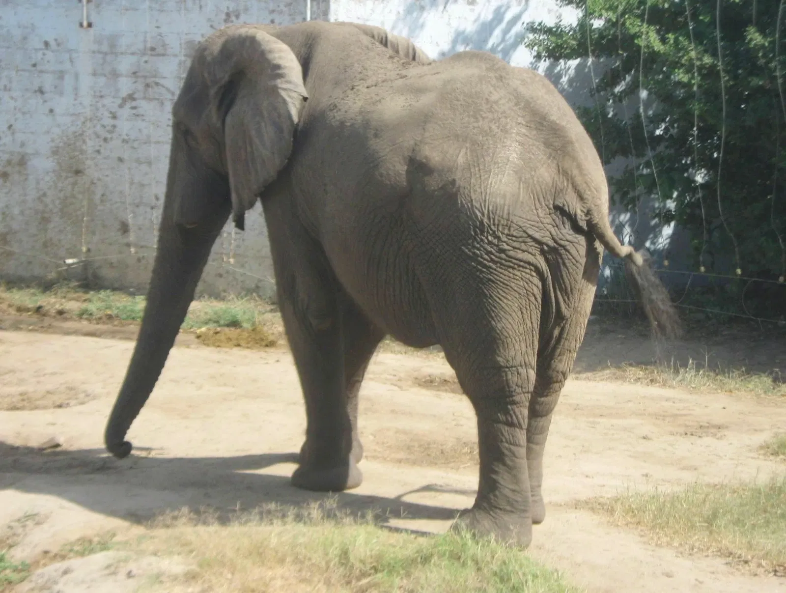 Zoológico de Barranquilla