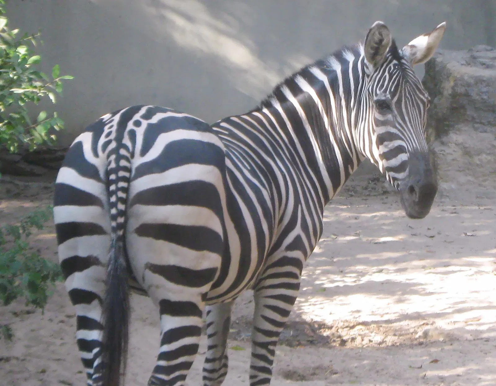 Parc zoologique de Barranquilla