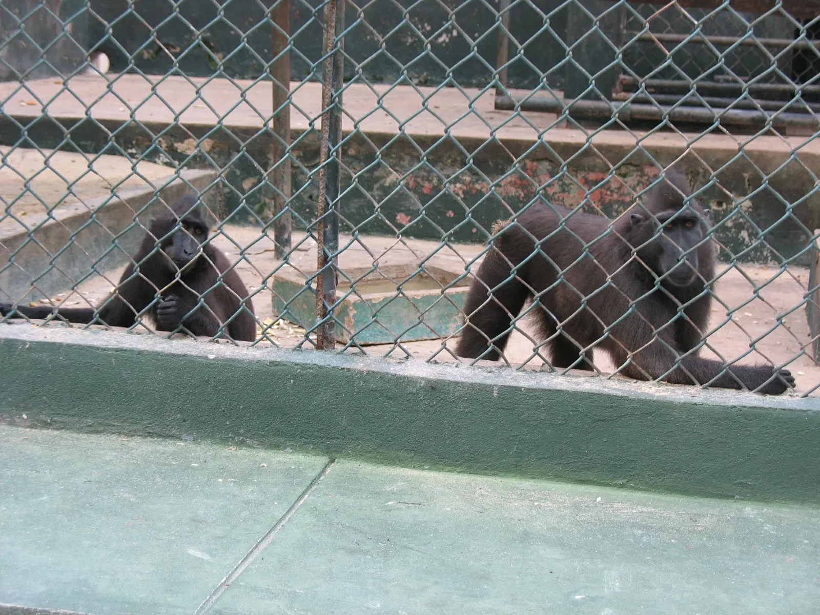 Zoológico de Barranquilla