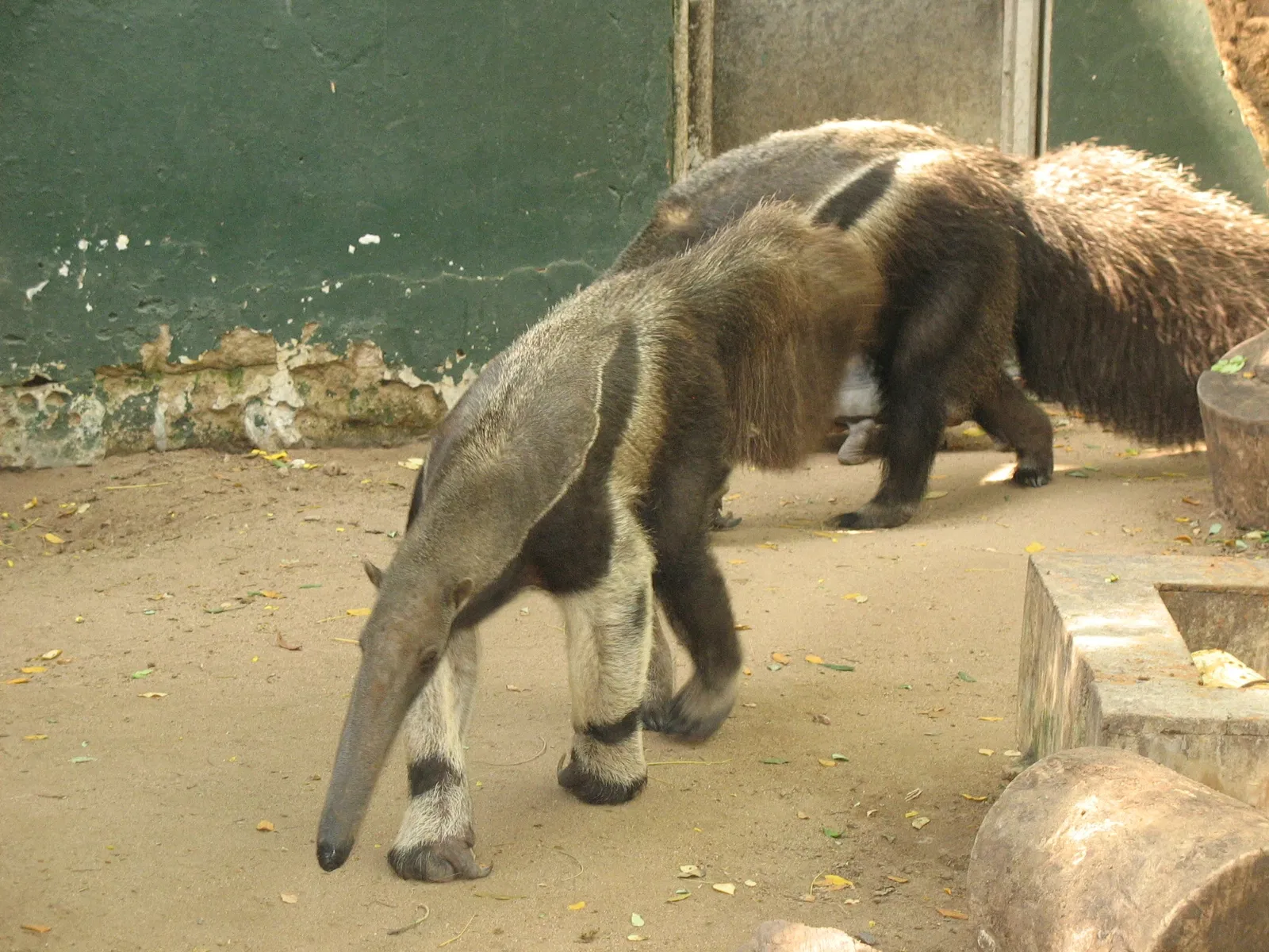 Parc zoologique de Barranquilla