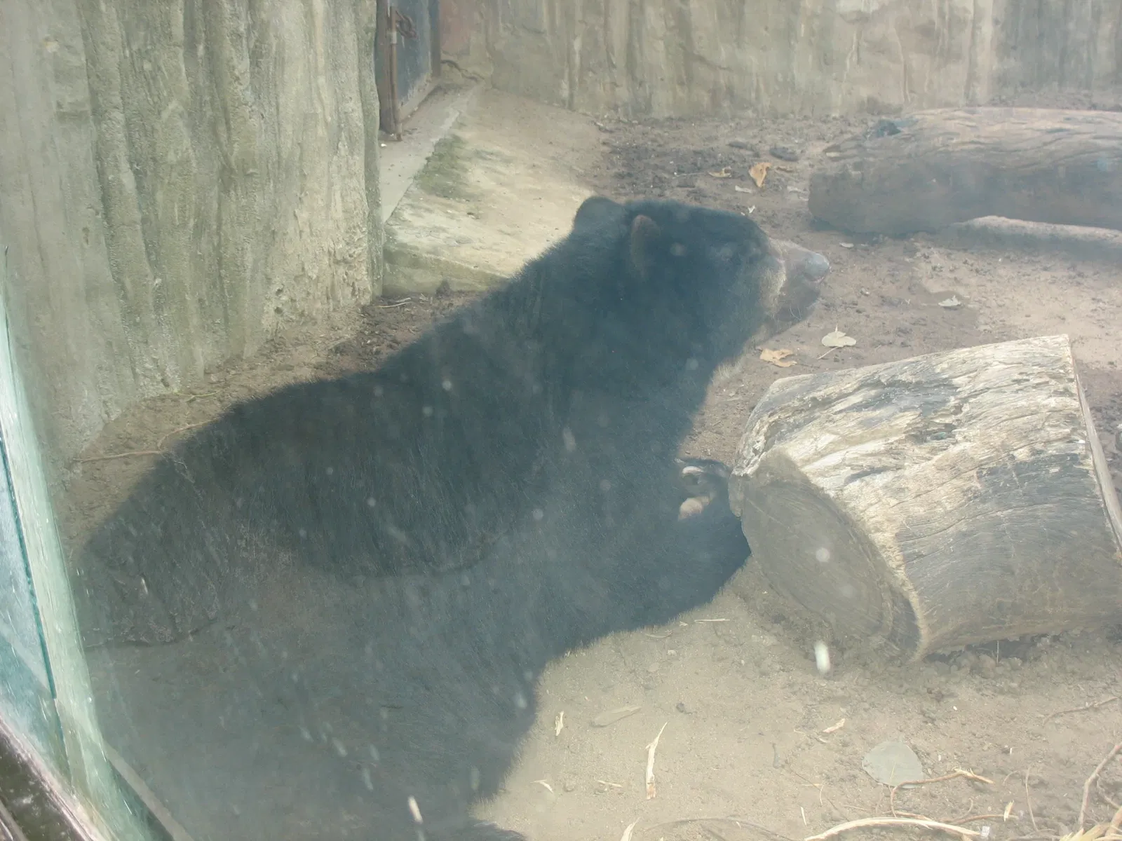 Parc zoologique de Barranquilla
