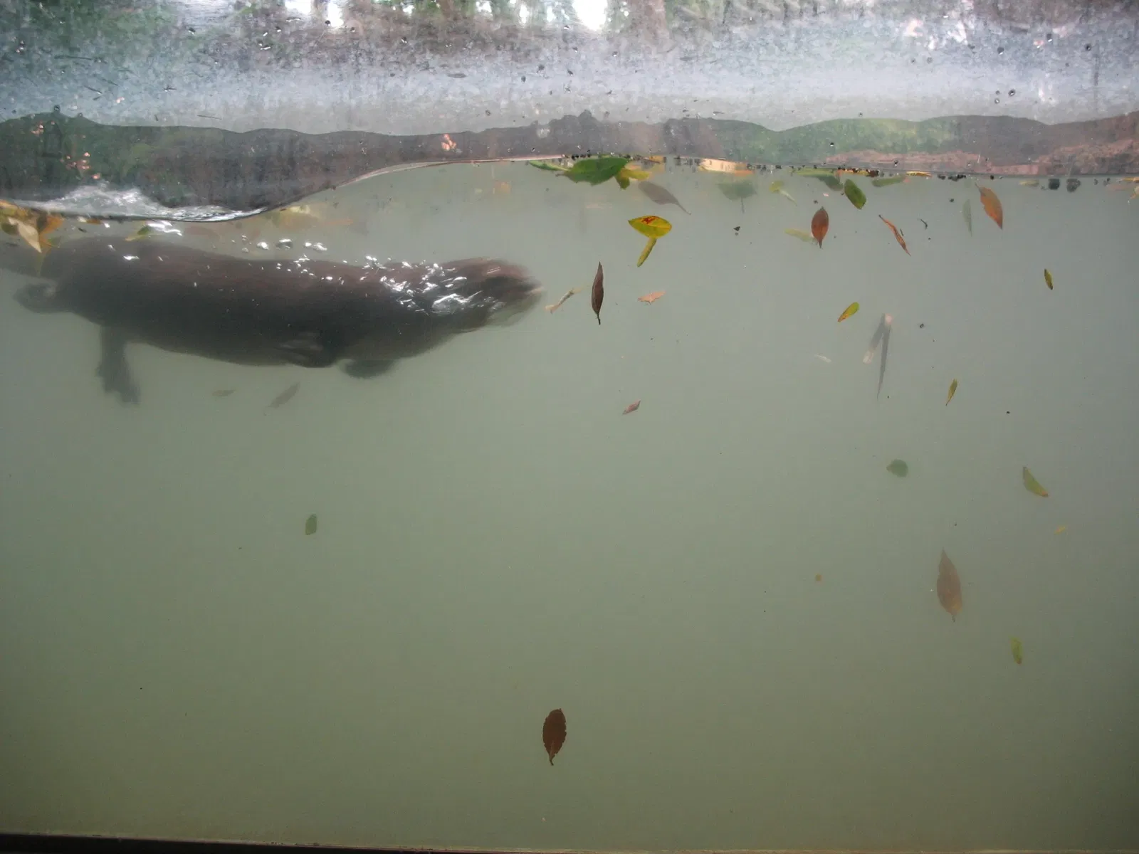 Parc zoologique de Barranquilla