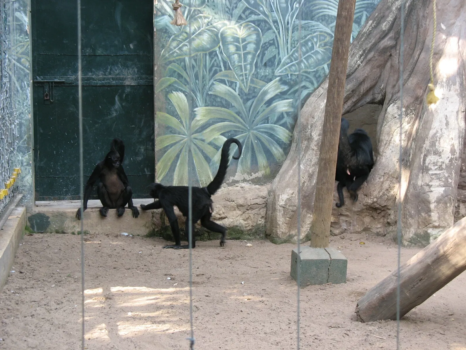 Zoológico de Barranquilla