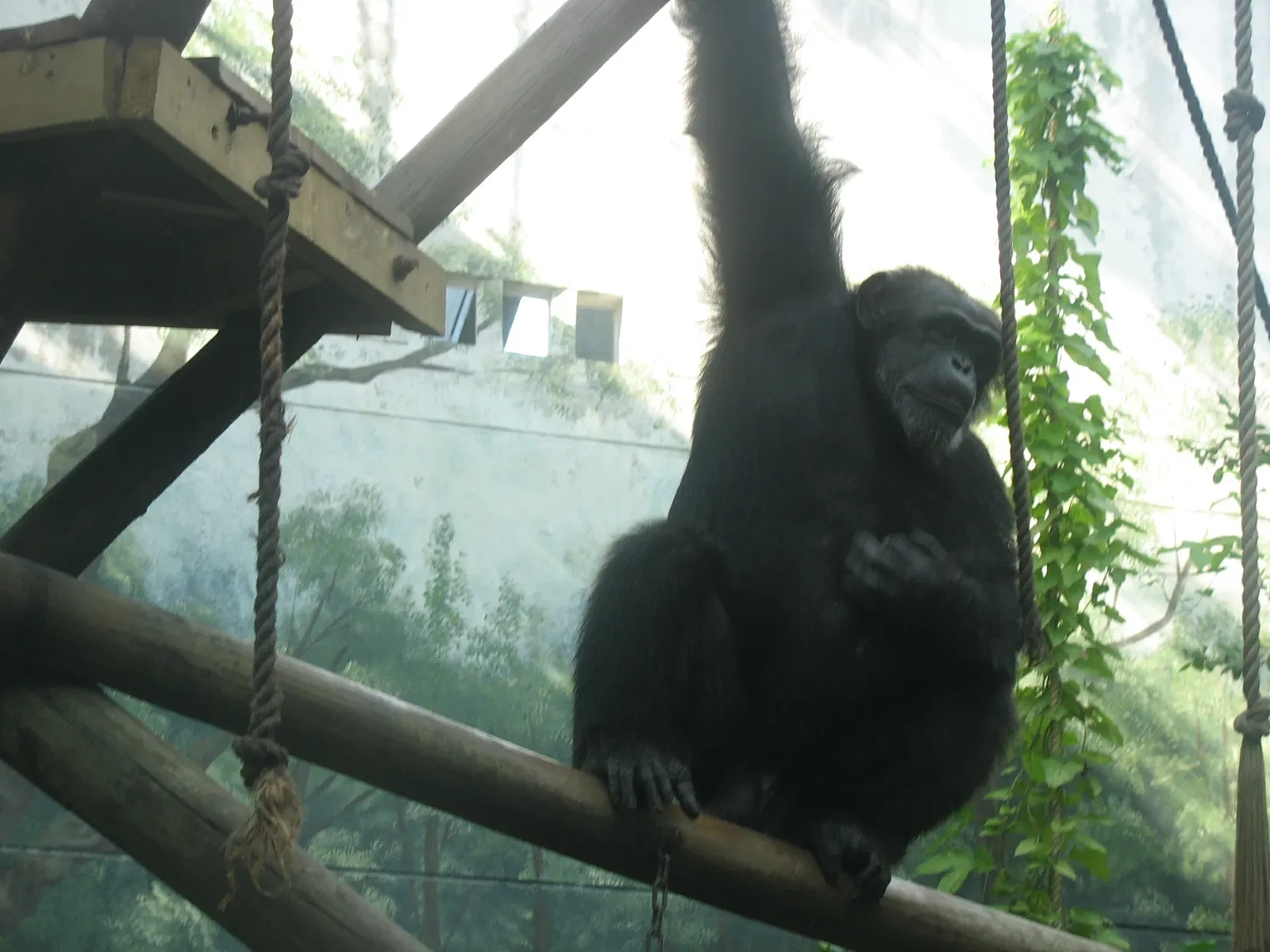 Zoológico de Barranquilla