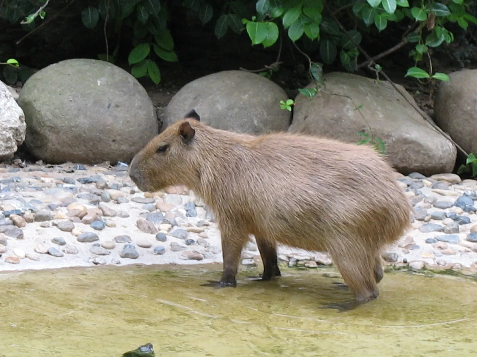 Parc zoologique de Barranquilla