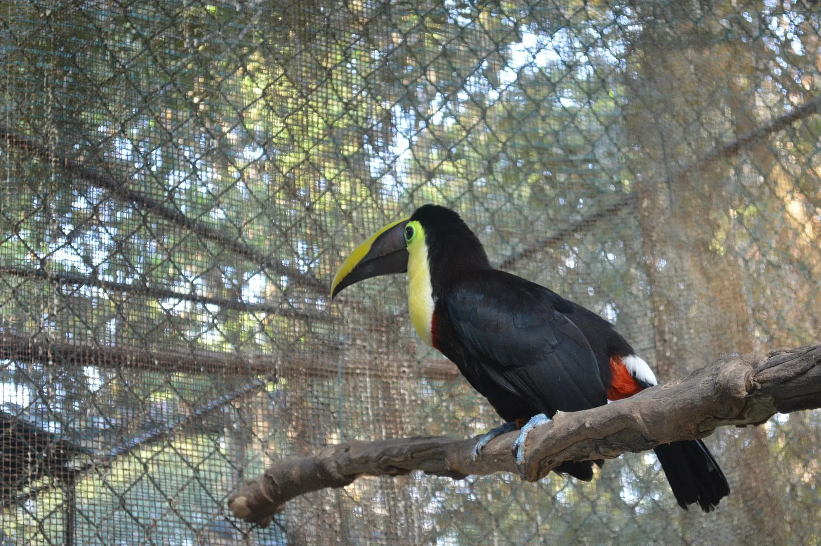 Zoológico de Barranquilla