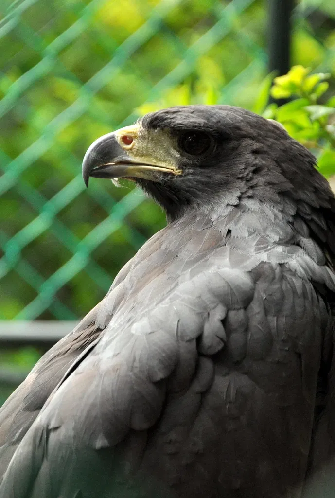 Zoológico de Barranquilla