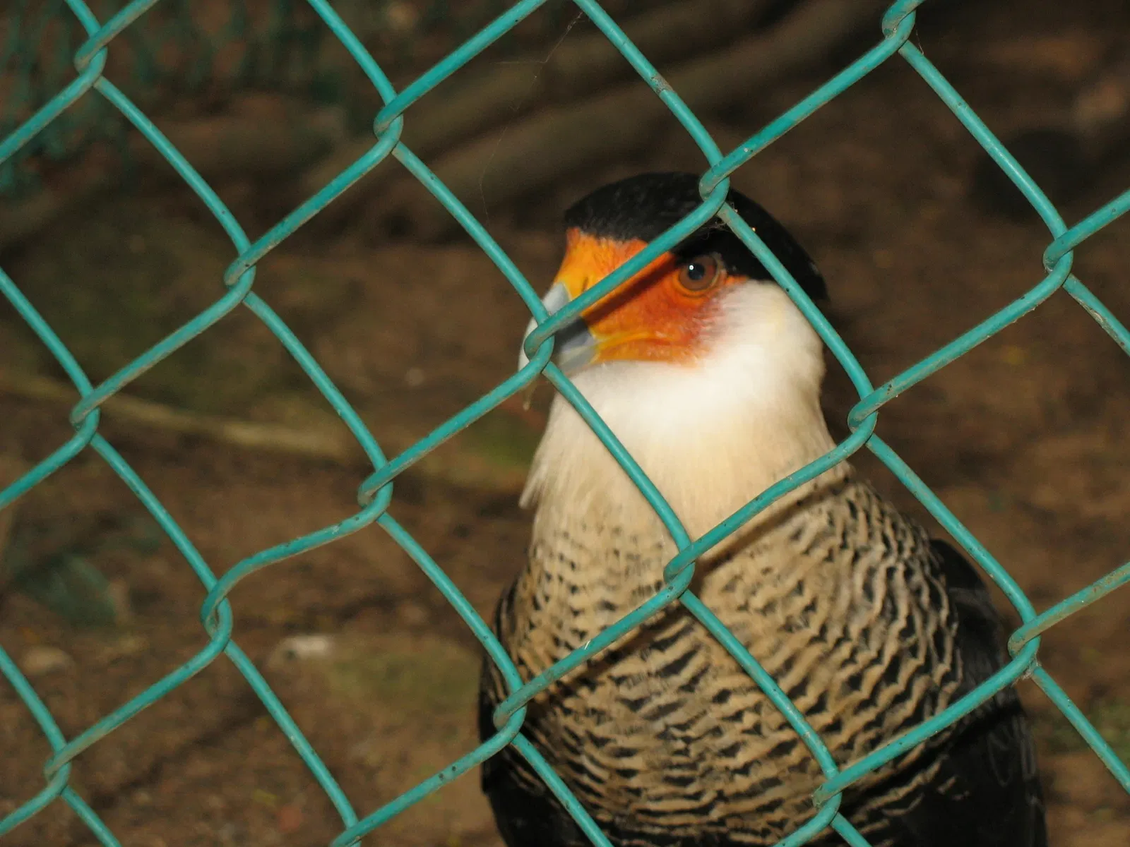 Zoológico de Barranquilla