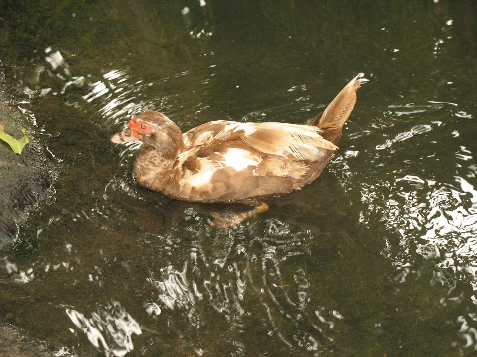 Parc zoologique de Barranquilla