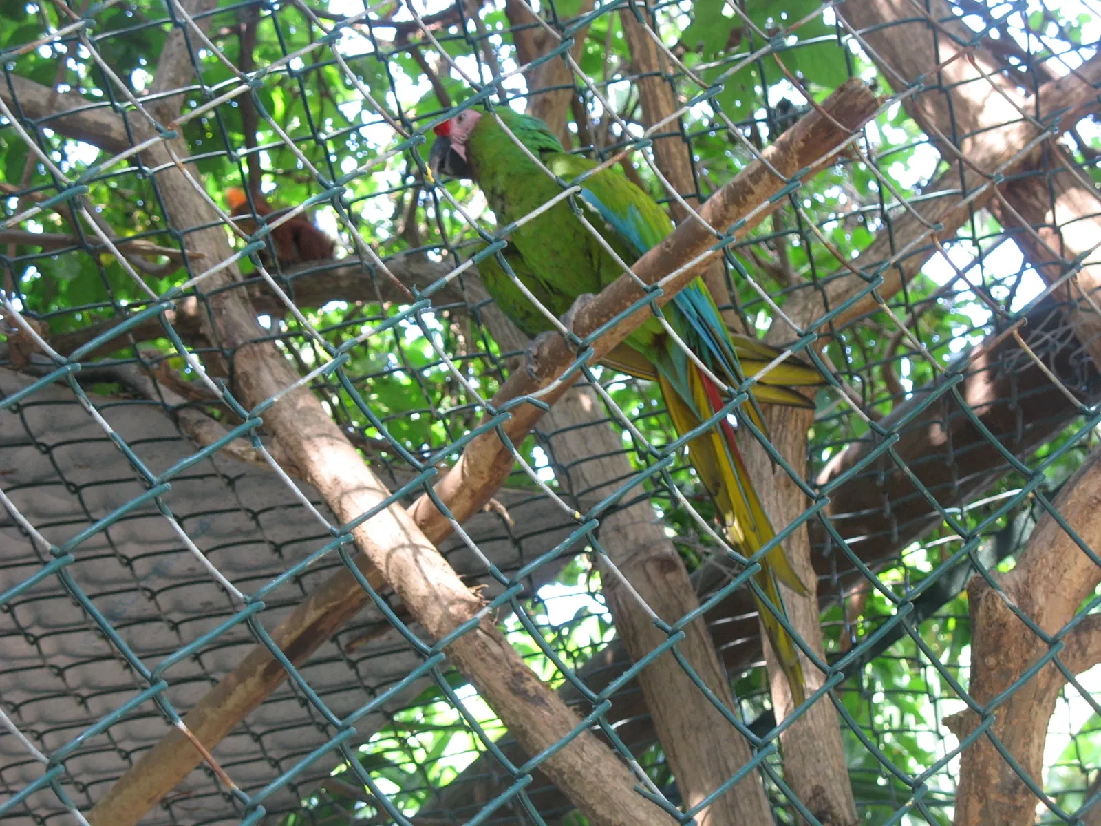 Parc zoologique de Barranquilla