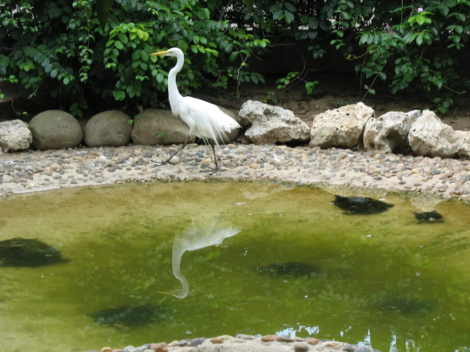 Parc zoologique de Barranquilla