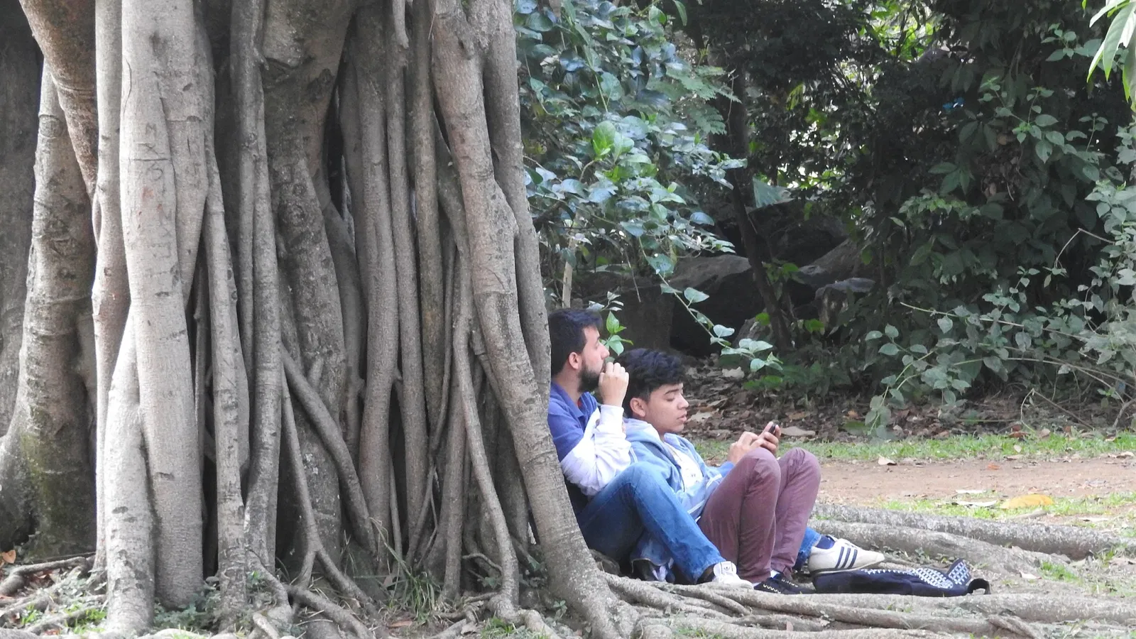 Jardin botanique Joaquin Antonio Uribe de Medellín