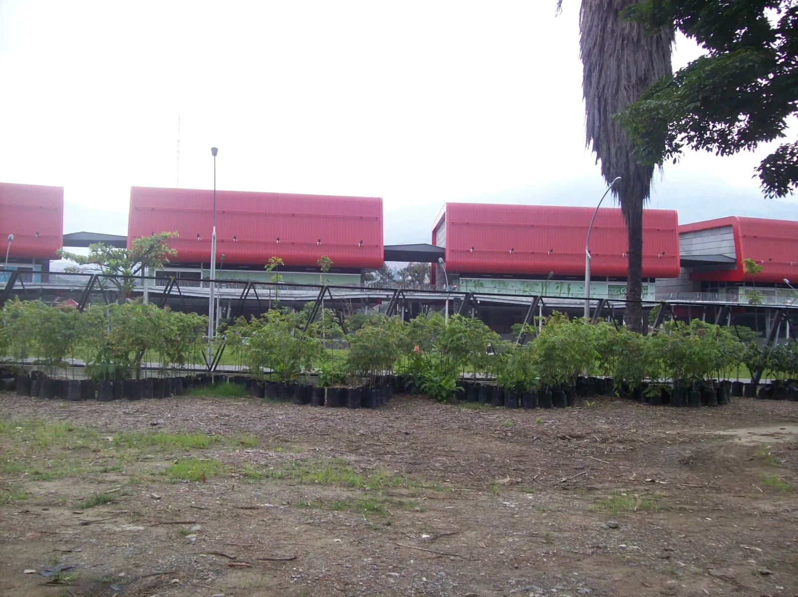 Jardín Botánico Joaquín Antonio Uribe de Medellín