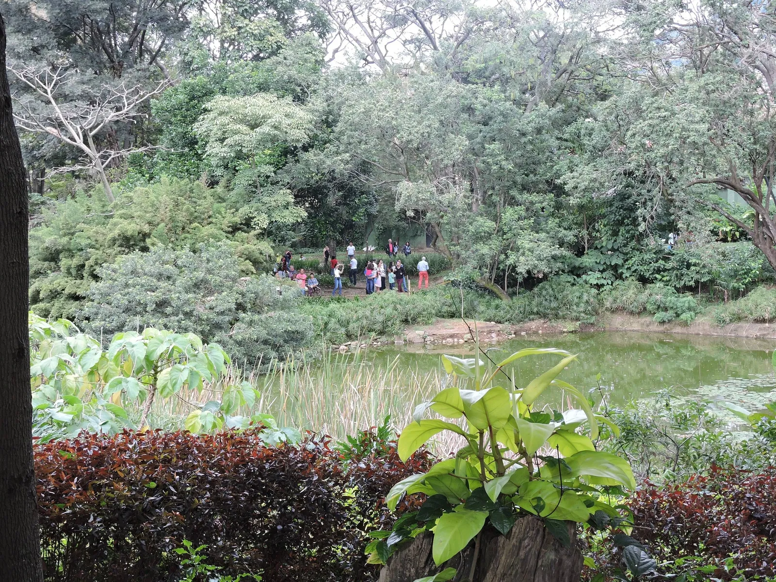 Jardin botanique Joaquin Antonio Uribe de Medellín
