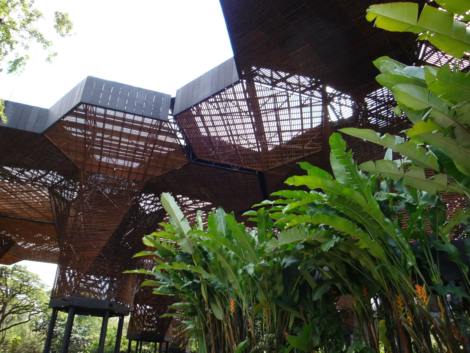 Jardín Botánico Joaquín Antonio Uribe de Medellín