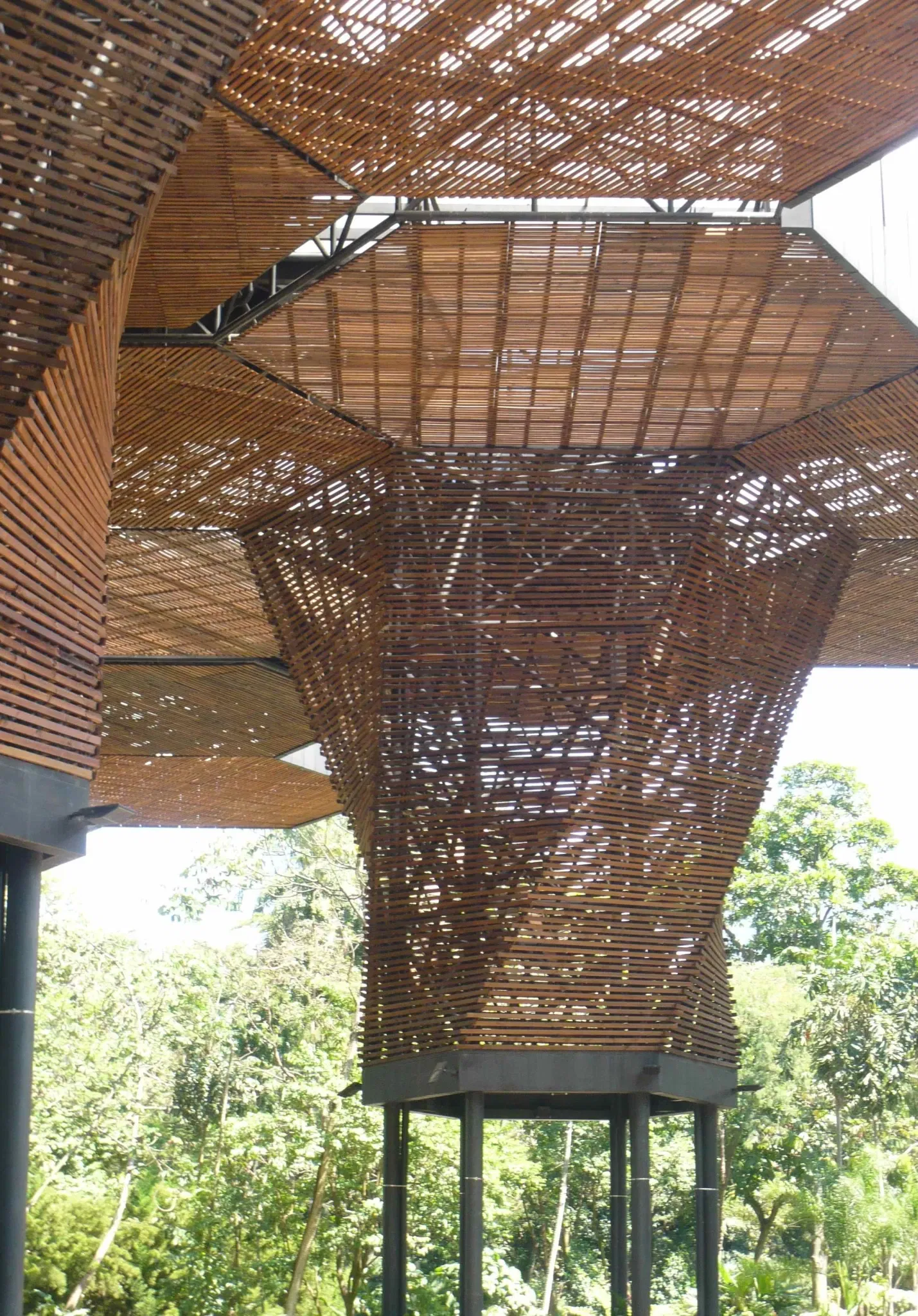 Jardin botanique Joaquin Antonio Uribe de Medellín