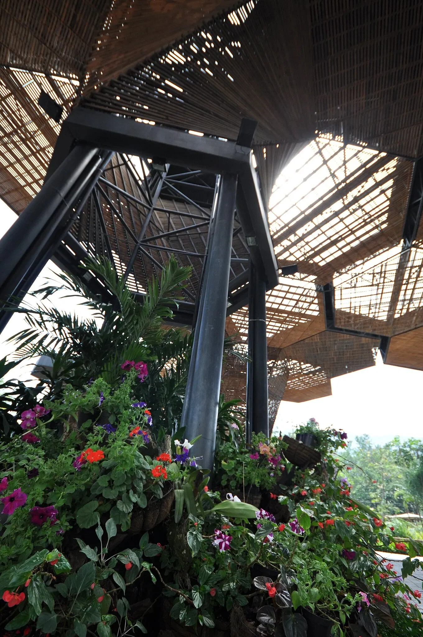 Joaquin Antonio Uribe Botanical Garden of Medellín