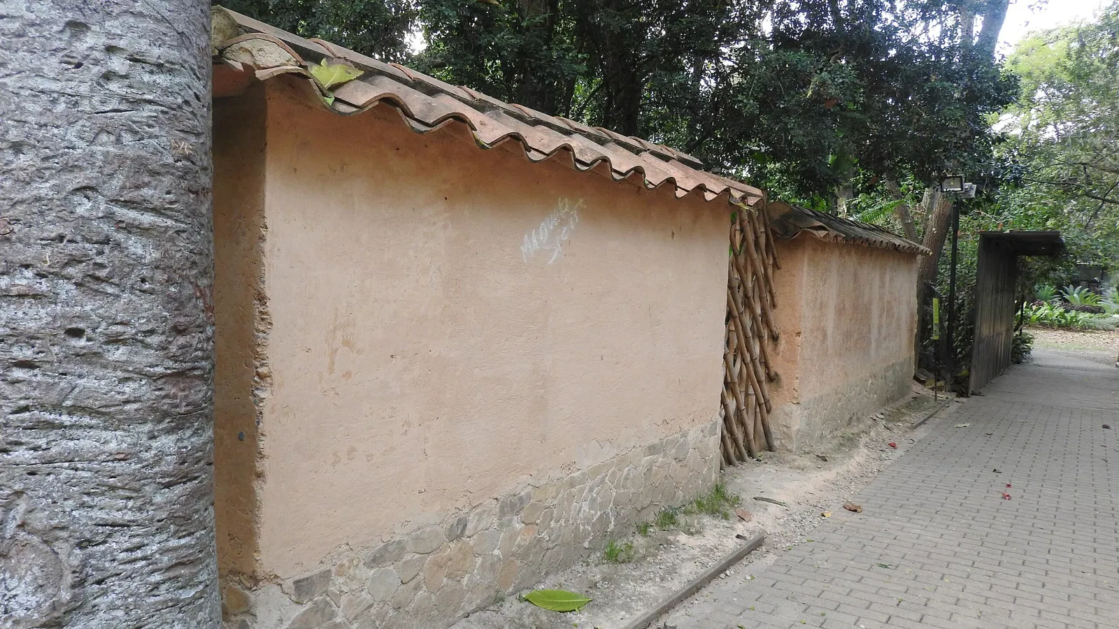 Jardin botanique Joaquin Antonio Uribe de Medellín