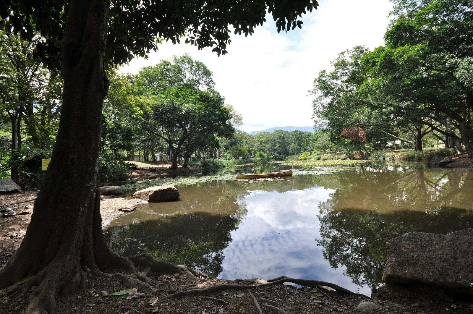 Joaquin Antonio Uribe Botanical Garden of Medellín