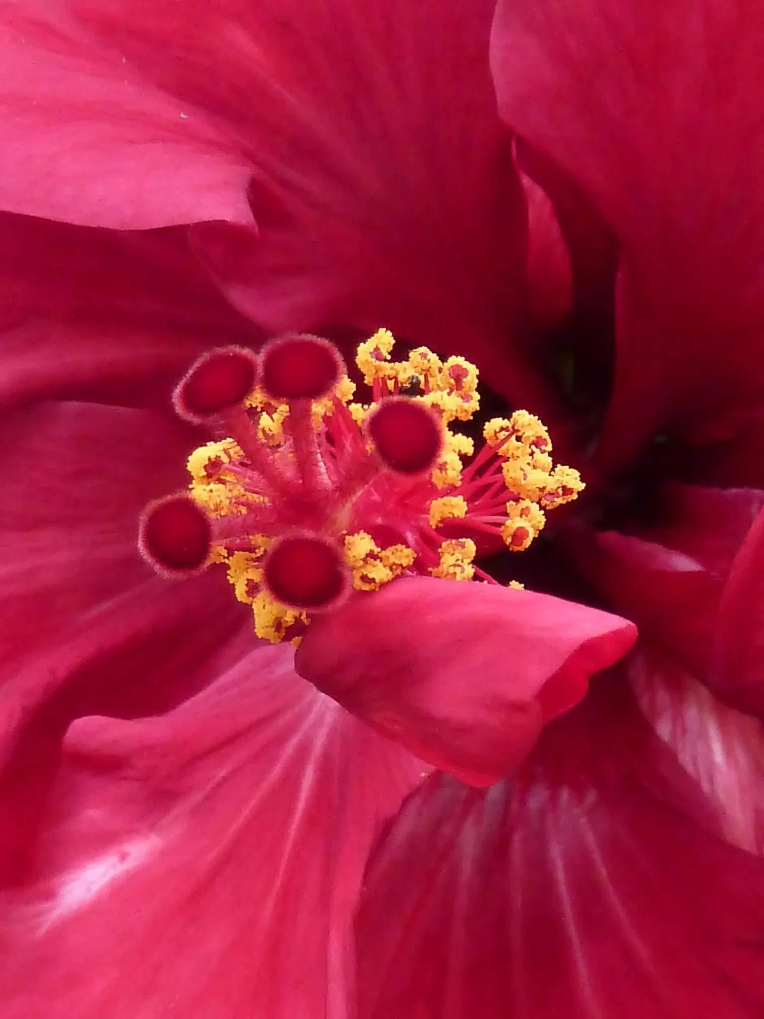 Jardín Botánico Joaquín Antonio Uribe de Medellín