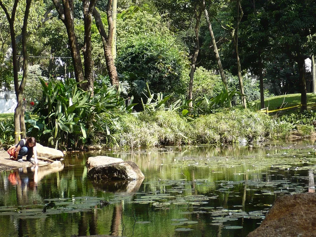 Joaquin Antonio Uribe Botanical Garden of Medellín
