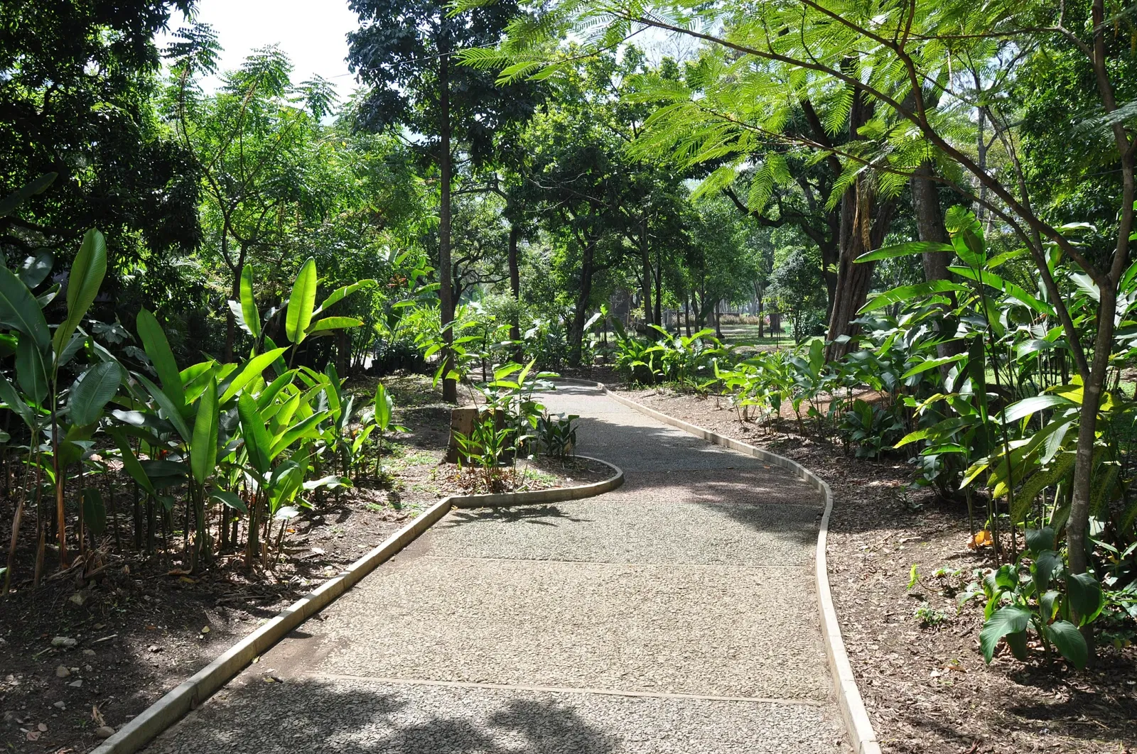 Joaquin Antonio Uribe Botanical Garden of Medellín