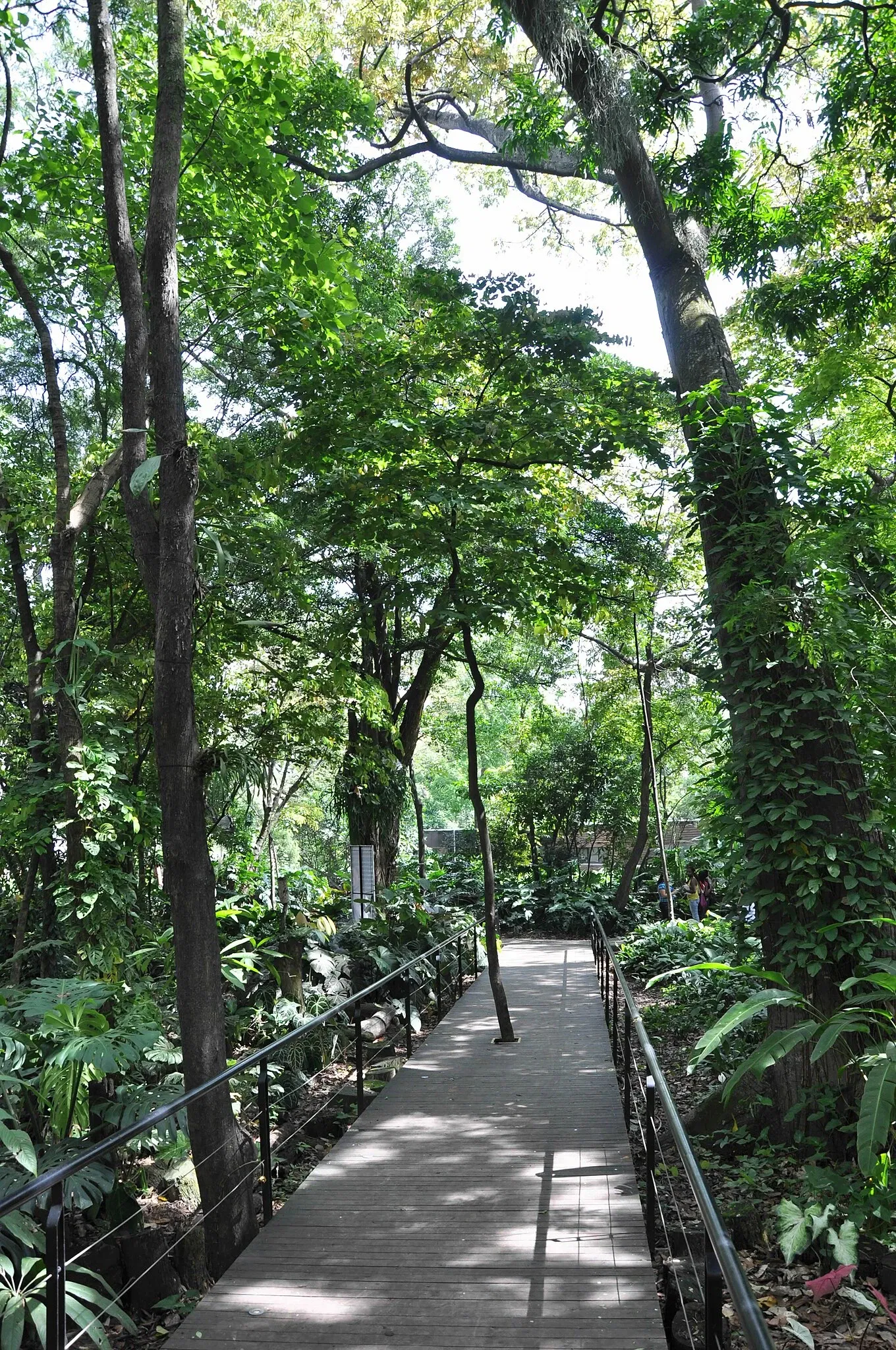 Jardín Botánico Joaquín Antonio Uribe de Medellín