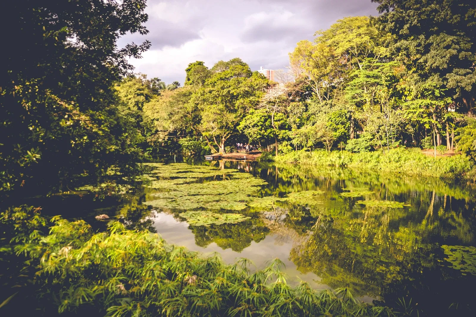 Jardin botanique Joaquin Antonio Uribe de Medellín