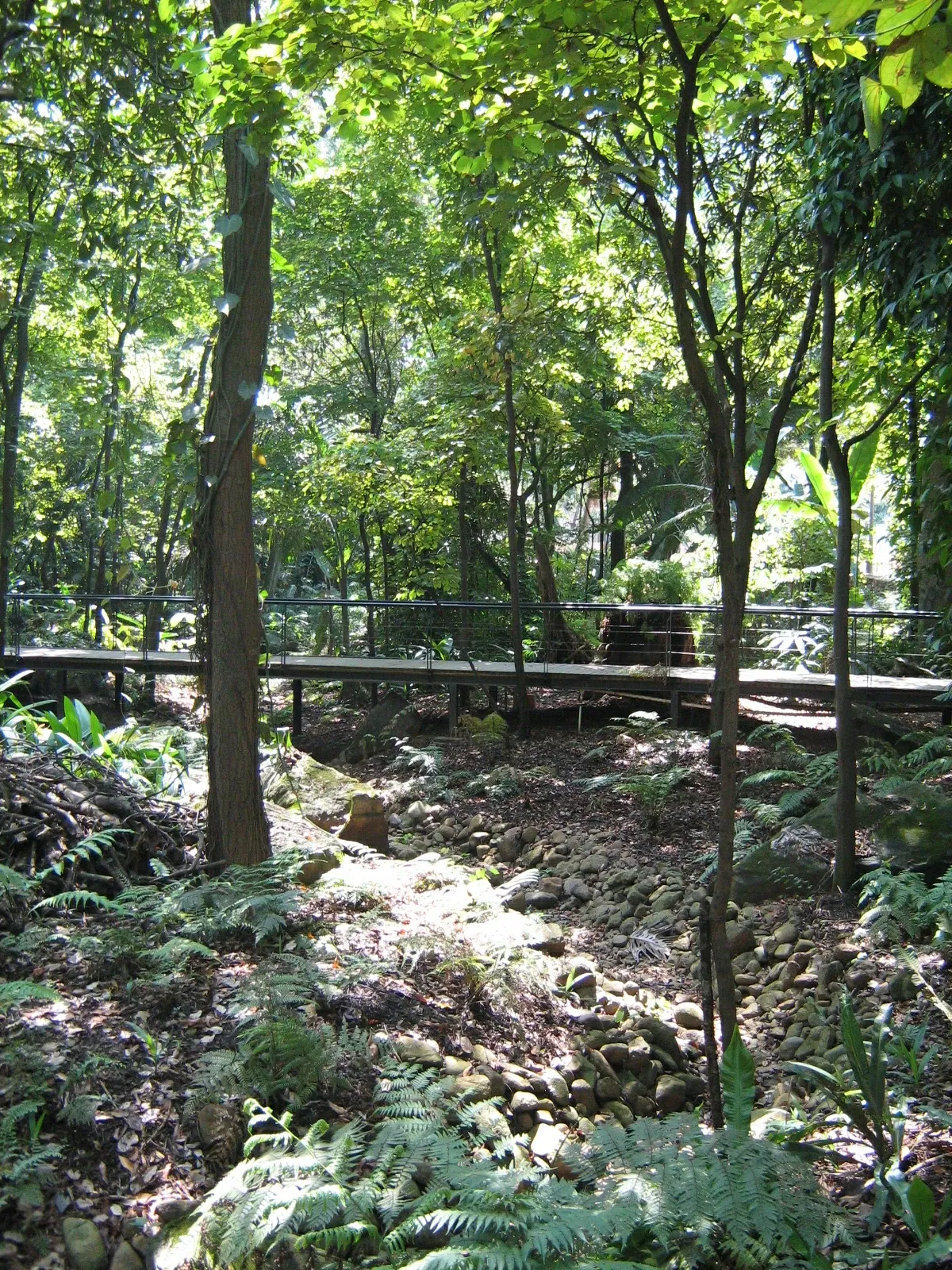 Jardín Botánico Joaquín Antonio Uribe de Medellín