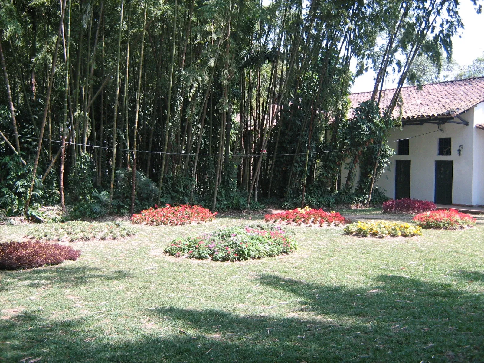 Jardín Botánico Joaquín Antonio Uribe de Medellín