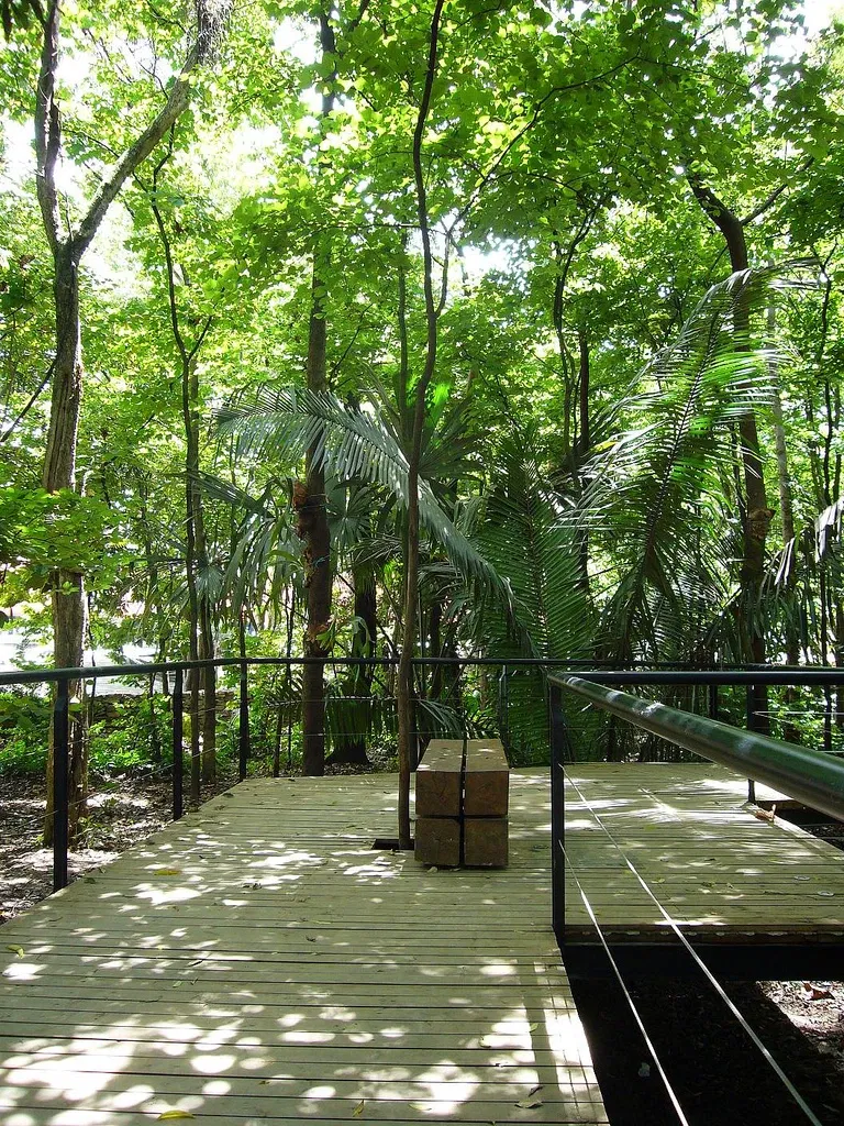 Joaquin Antonio Uribe Botanical Garden of Medellín
