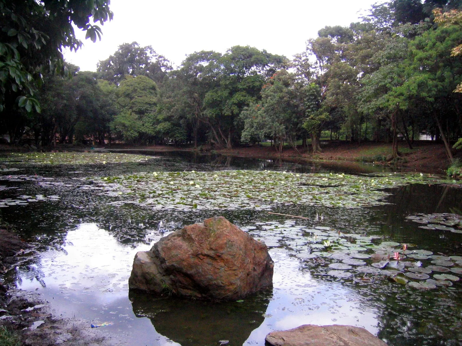 Jardin botanique Joaquin Antonio Uribe de Medellín