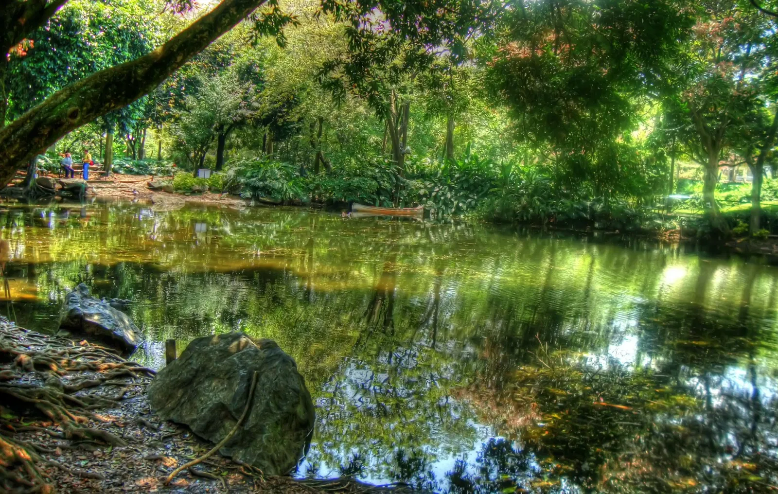 Joaquin Antonio Uribe Botanical Garden of Medellín