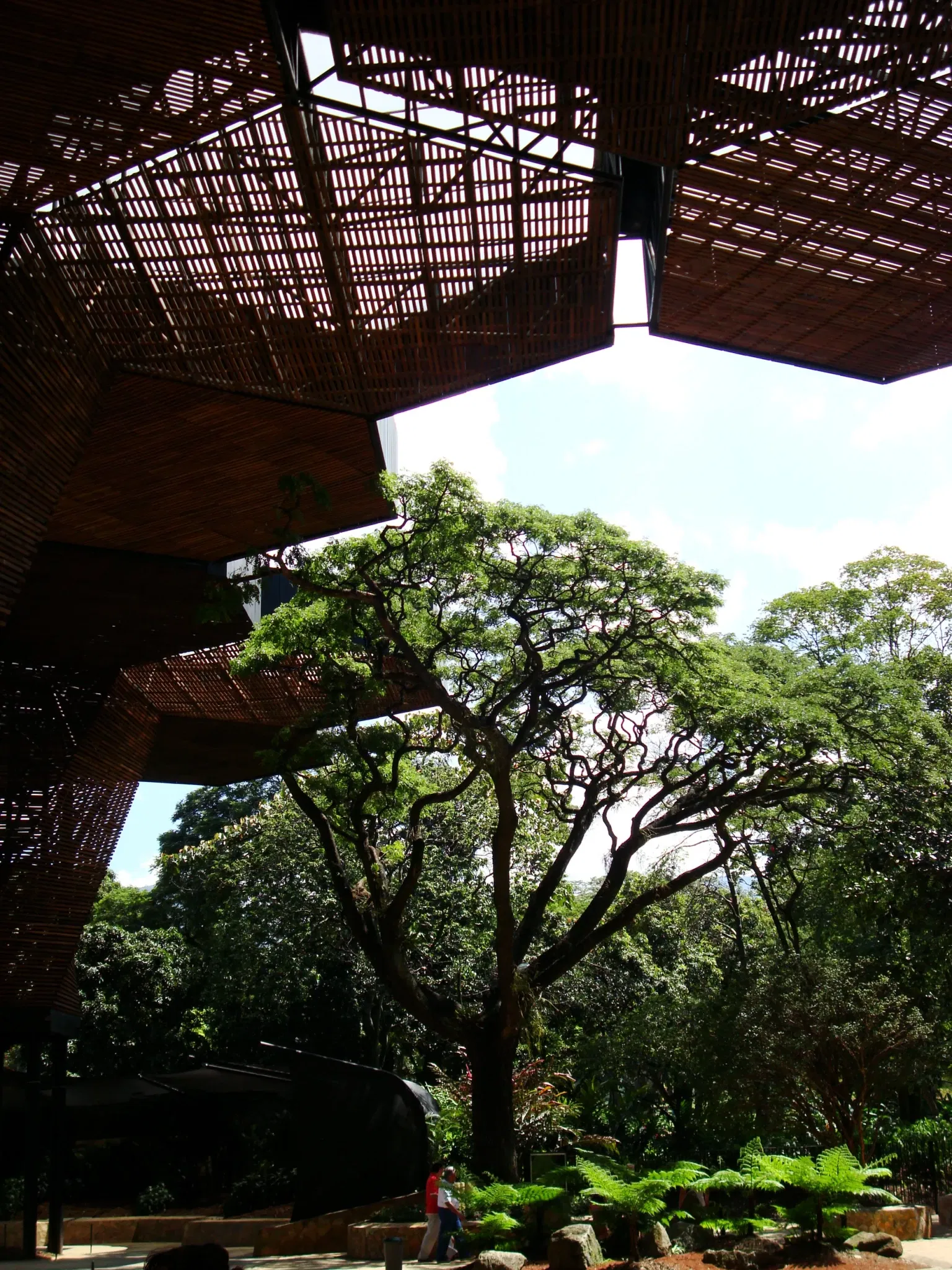 Jardín Botánico Joaquín Antonio Uribe de Medellín