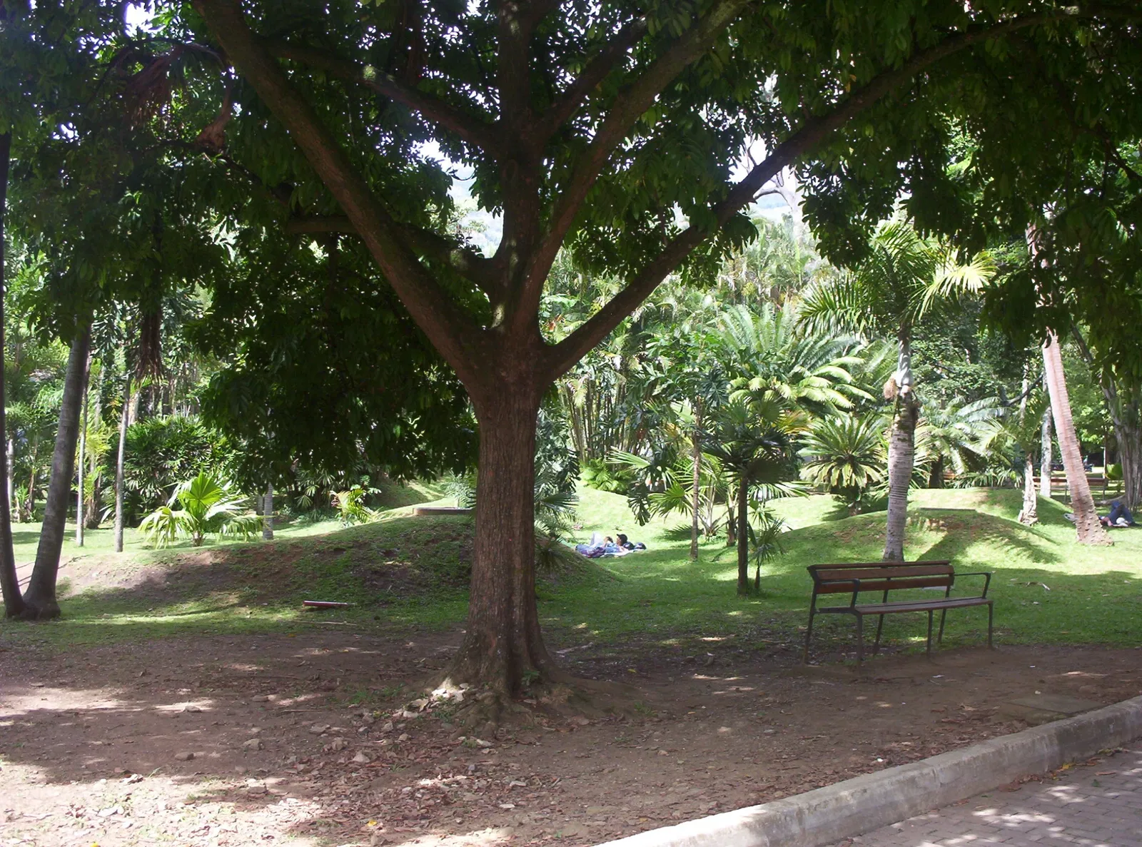 Jardin botanique Joaquin Antonio Uribe de Medellín
