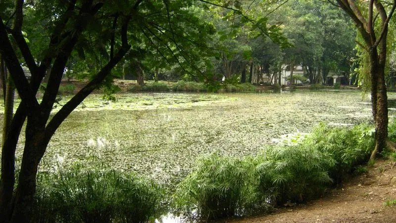 Jardín Botánico Joaquín Antonio Uribe de Medellín
