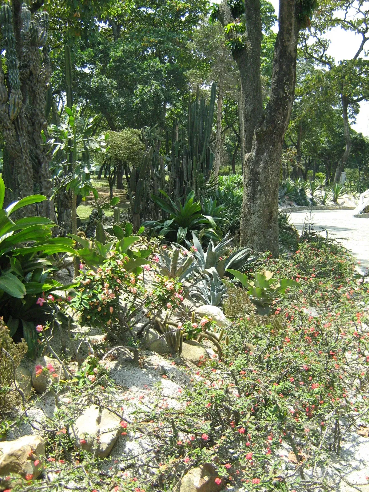 Jardin botanique Joaquin Antonio Uribe de Medellín
