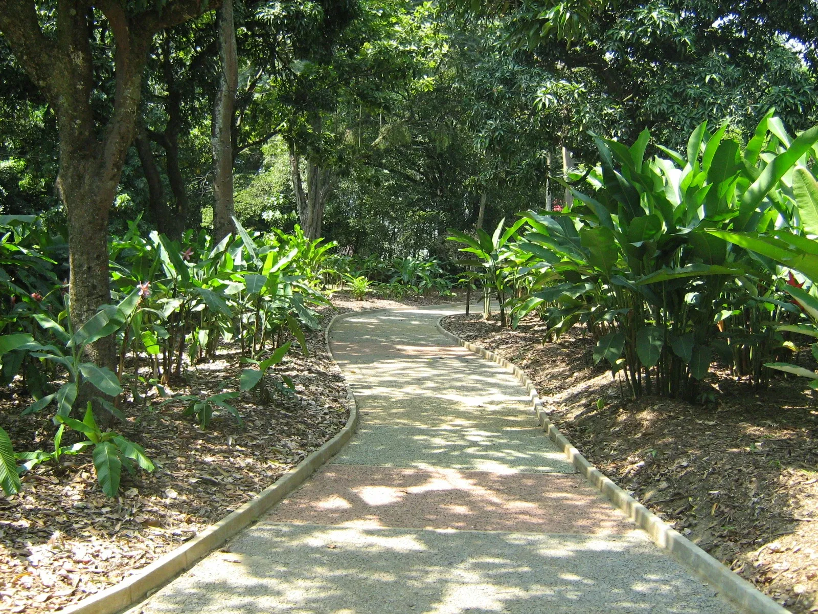 Jardin botanique Joaquin Antonio Uribe de Medellín