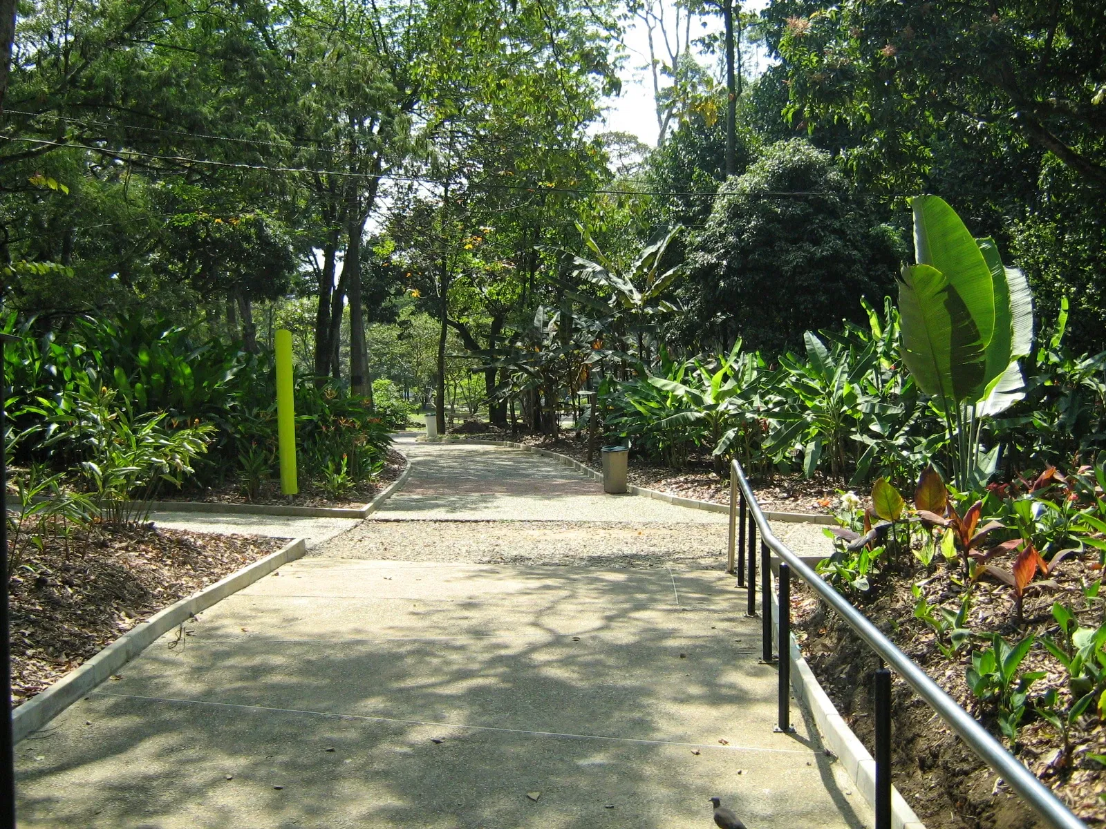 Joaquin Antonio Uribe Botanical Garden of Medellín