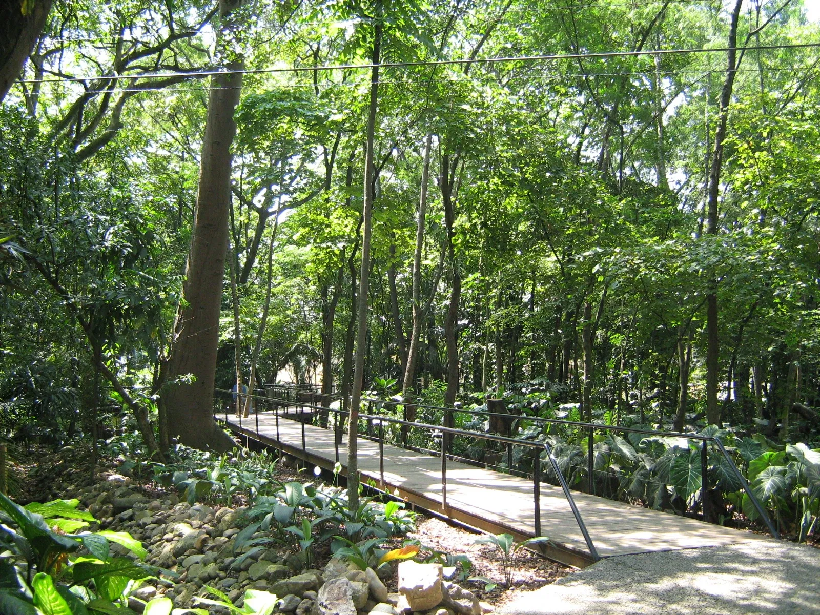 Joaquin Antonio Uribe Botanical Garden of Medellín