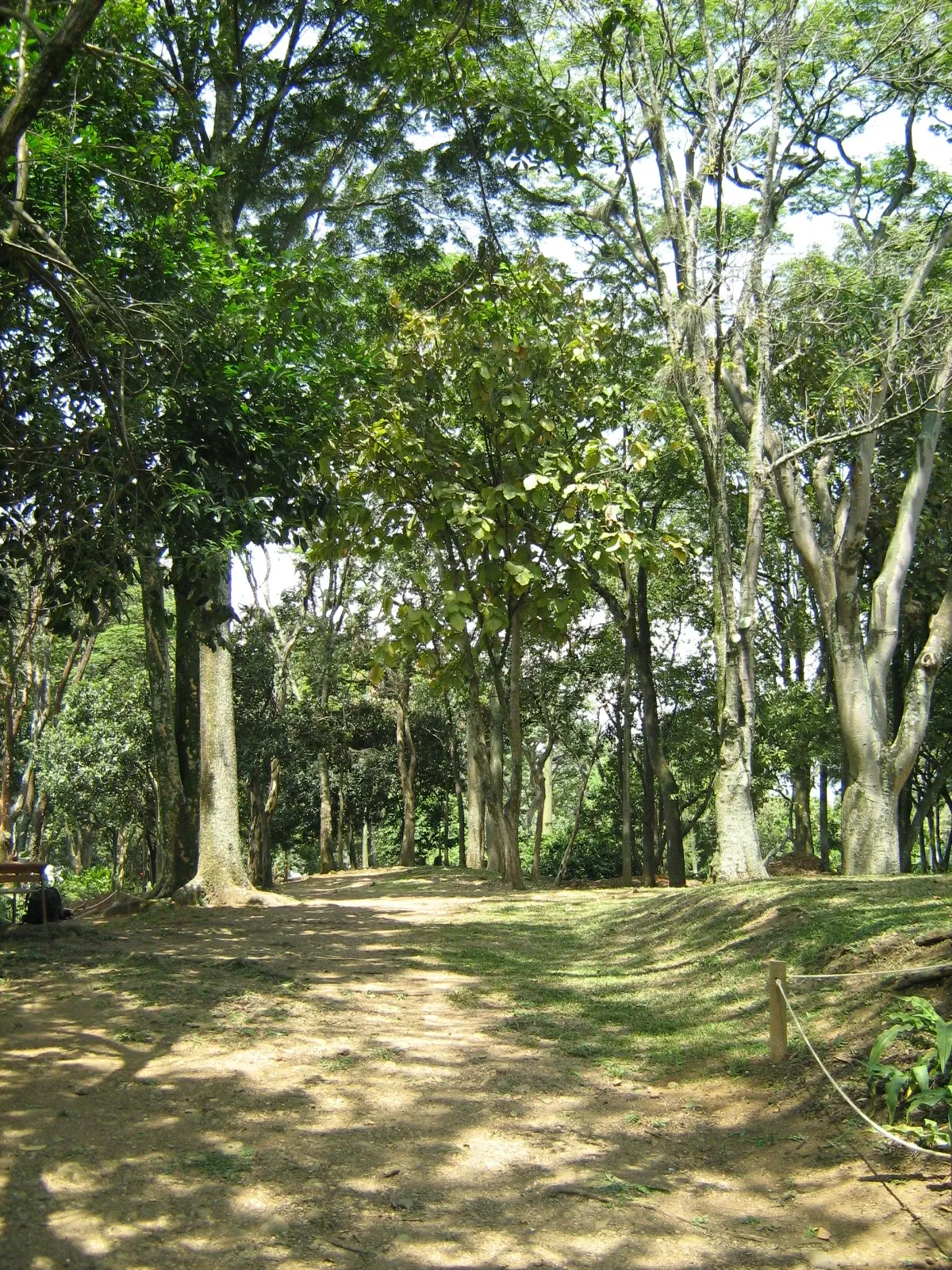 Jardin botanique Joaquin Antonio Uribe de Medellín