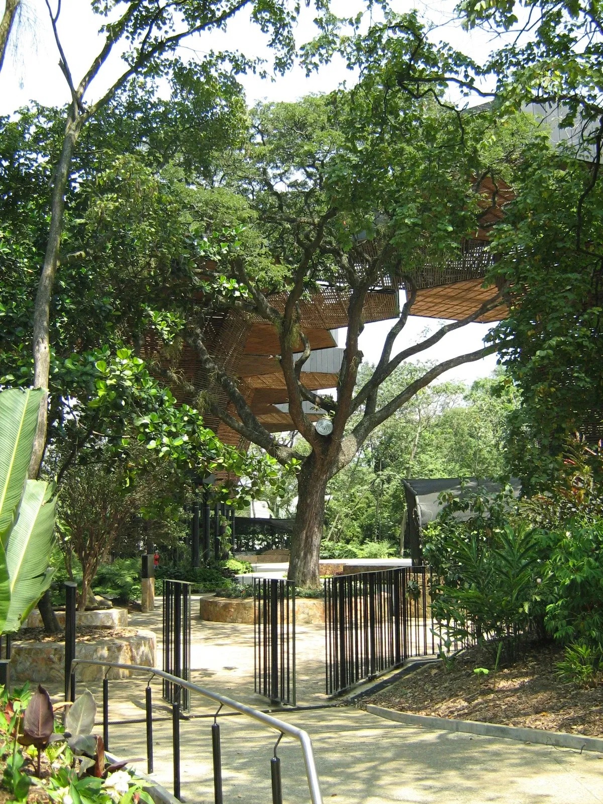 Jardín Botánico Joaquín Antonio Uribe de Medellín