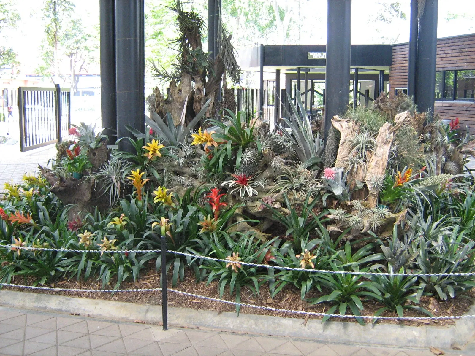 Jardin botanique Joaquin Antonio Uribe de Medellín
