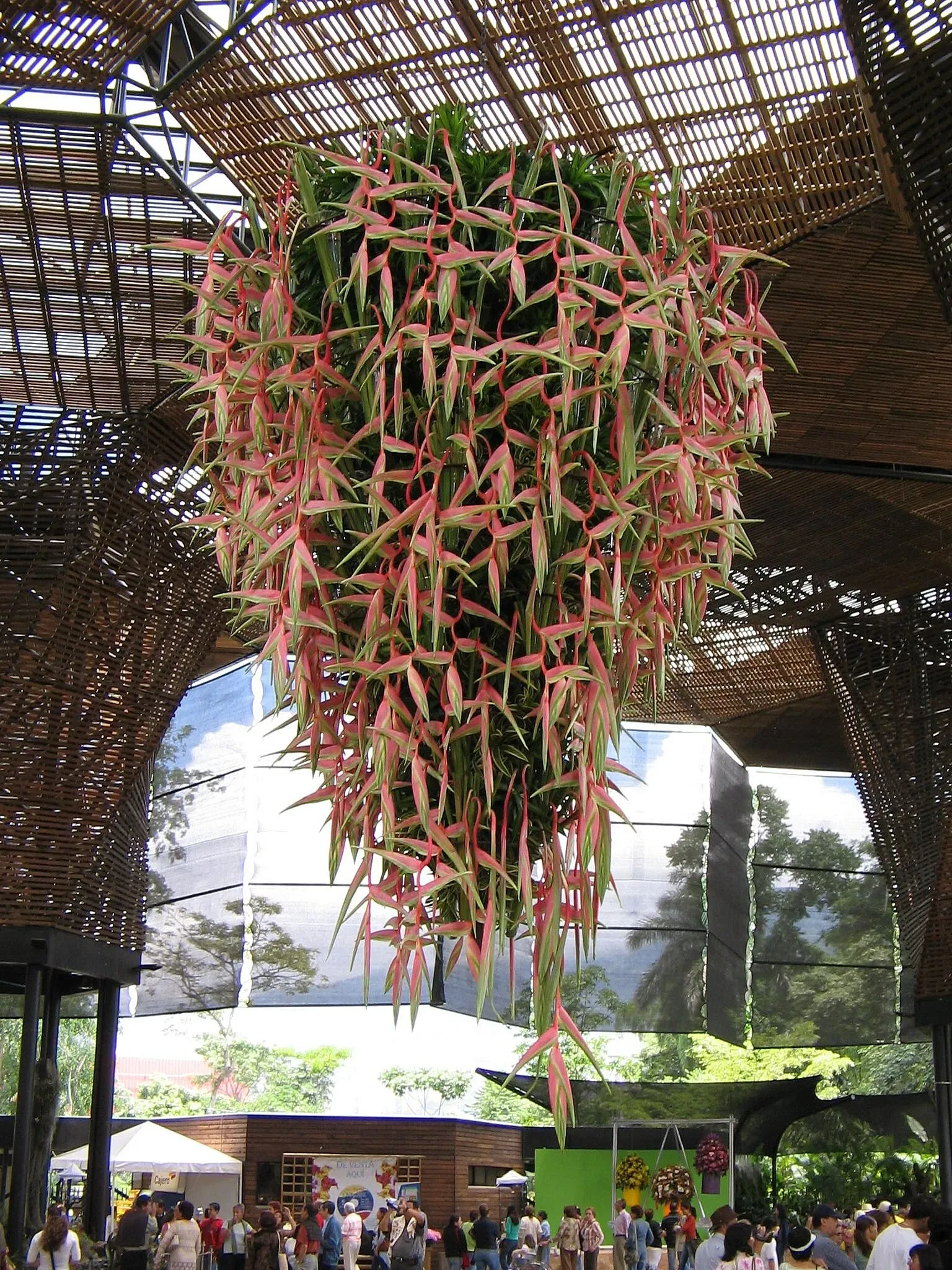 Joaquin Antonio Uribe Botanical Garden of Medellín
