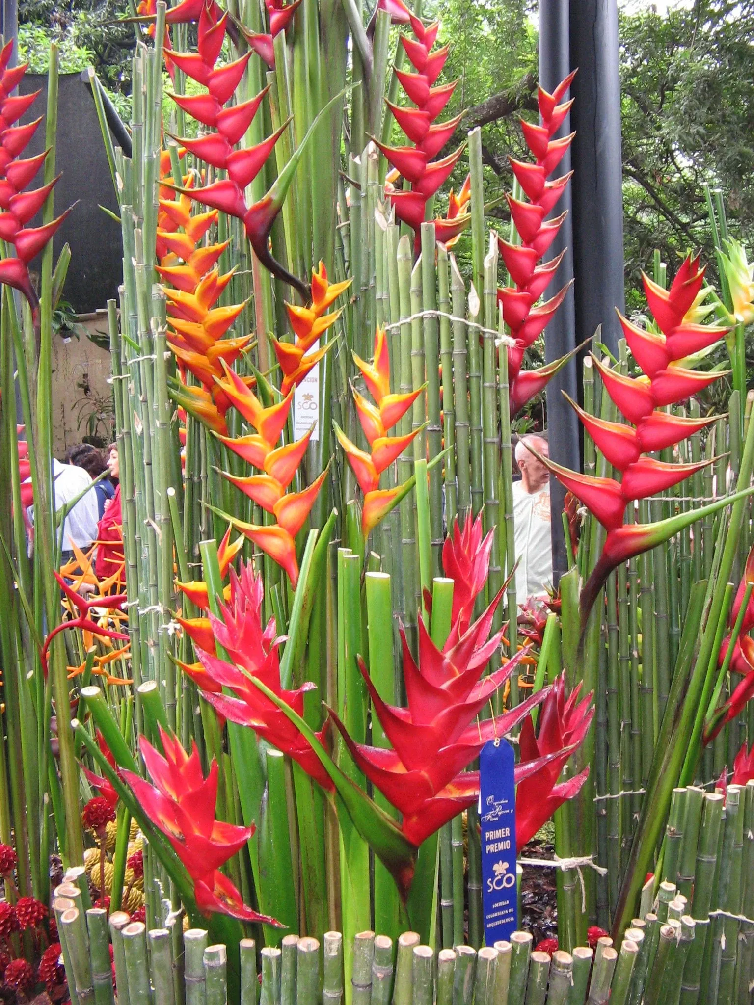 Jardin botanique Joaquin Antonio Uribe de Medellín