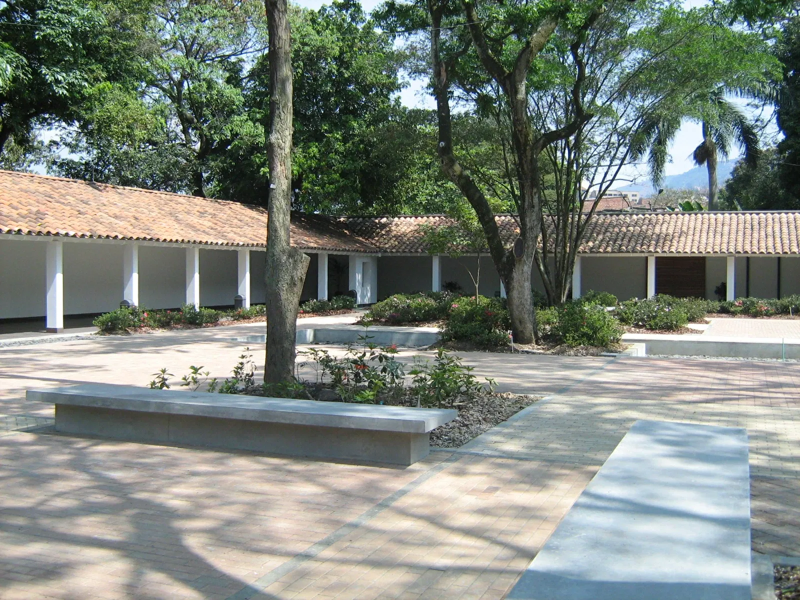 Joaquin Antonio Uribe Botanical Garden of Medellín