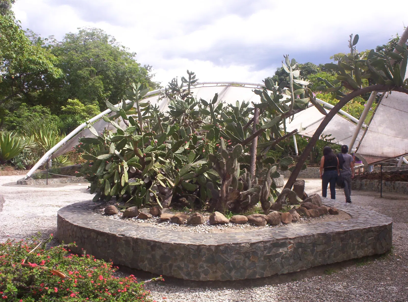 Joaquin Antonio Uribe Botanical Garden of Medellín