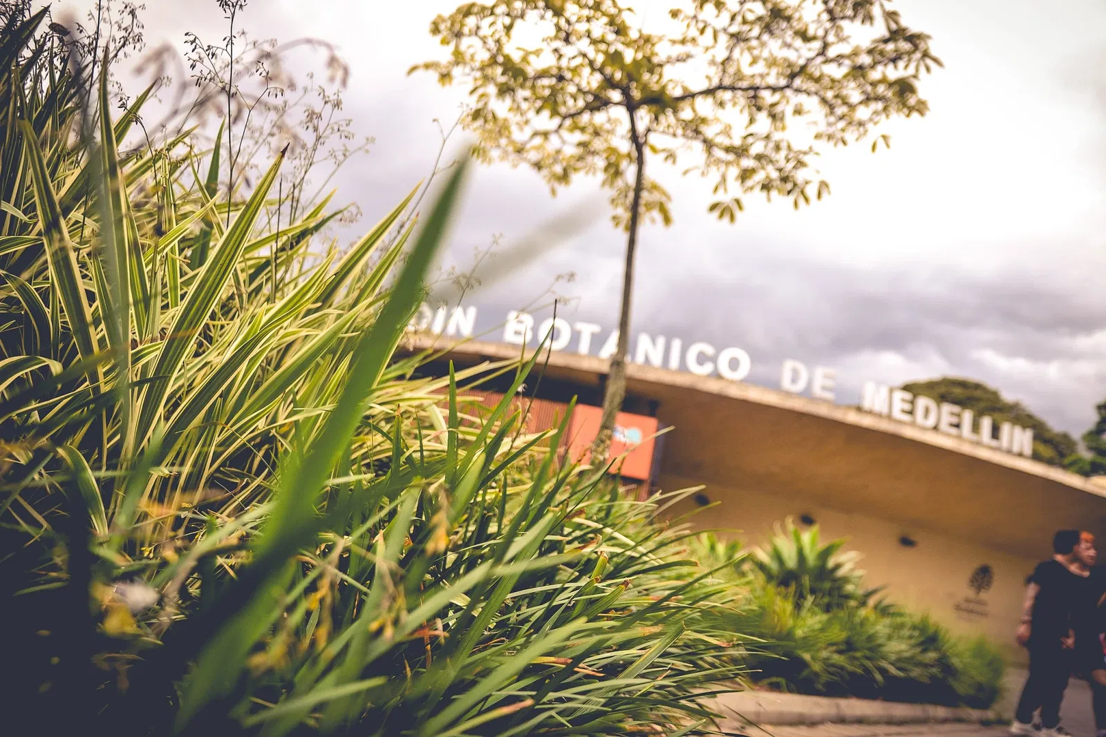 Joaquin Antonio Uribe Botanical Garden of Medellín