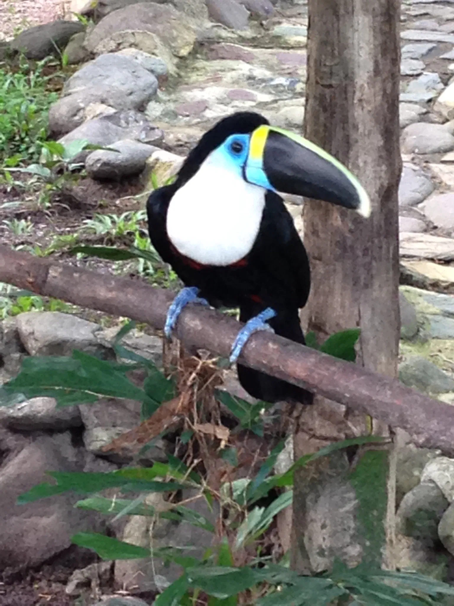 Bioparque Los Ocarros