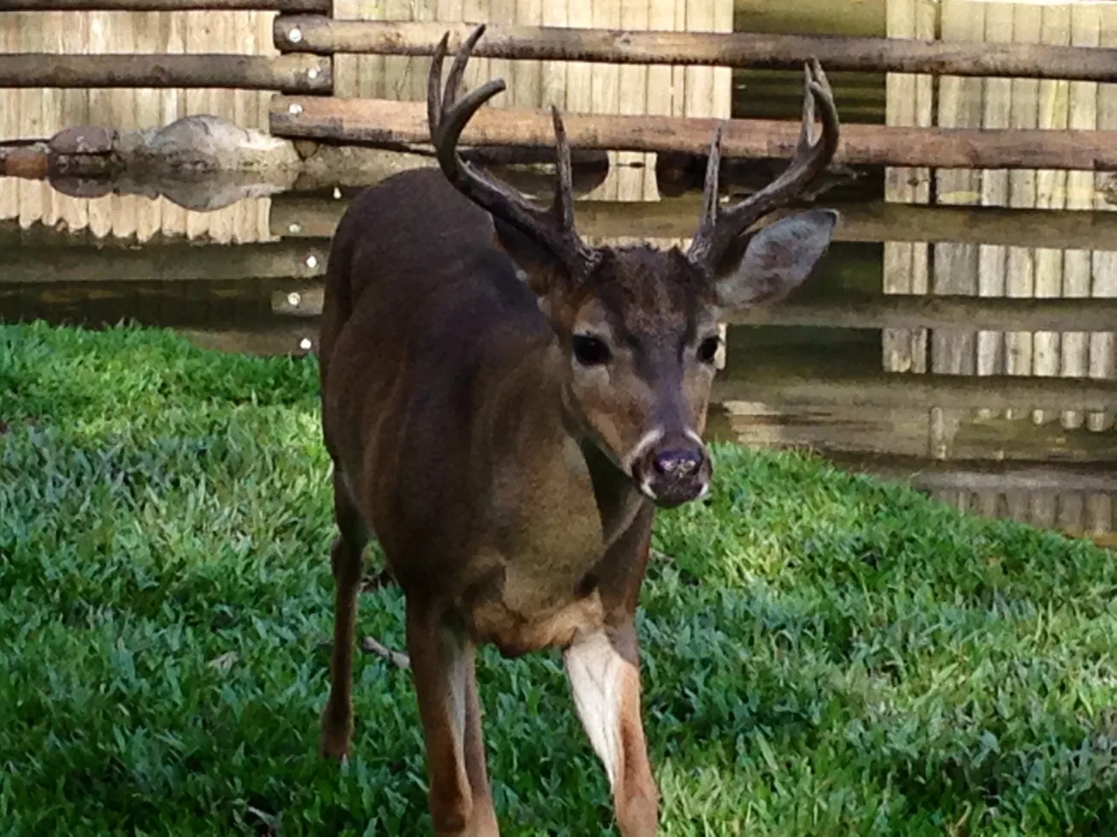 Bioparque Los Ocarros
